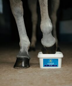 Alternative view of Eclipse Biofarmab Hoofbuilder 1,8kg