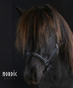 Alternative view of Nordic Horse Classic Lädergrimma Svart