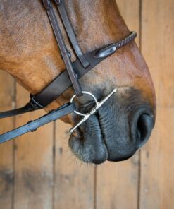 Alternative view of Fager Gustav Sötmalm Fullcheek