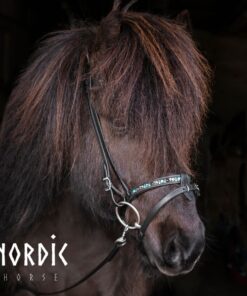 Alternative view of Nordic Horse Kombinerad Nosgrimma Turkos