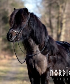 Alternative view of Nordic Horse Biothane Tygel med stoppar Rose Gold spännen