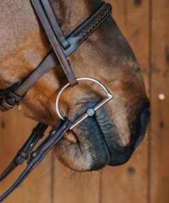 Alternative view of Fager Emil Titan D-ringar