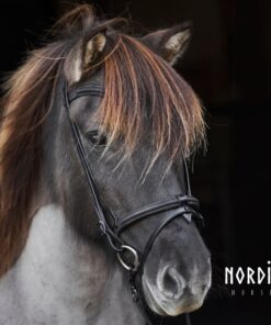 Alternative view of Nordic Horse Kombinerad nosgrimma Svart Glitter
