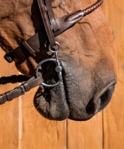 Alternative view of Fager Sara Titan Baucher