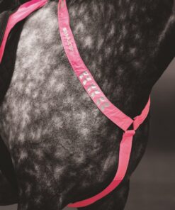 Alternative view of Shires Equi-Flector Brösta Reflex Rosa