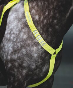 Alternative view of Shires Equi-Flector Brösta Reflex Gul