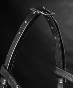 Alternative view of Nordic Horse Huvudlag