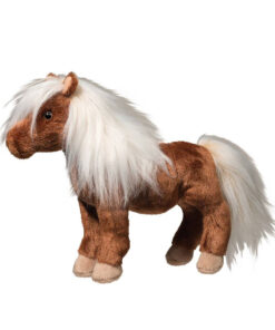 American Paint Horse