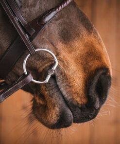 Alternative view of Fager Dylan Sötmalm Fasta Ringar