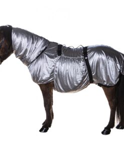 Eksemtäcke för islandshäst