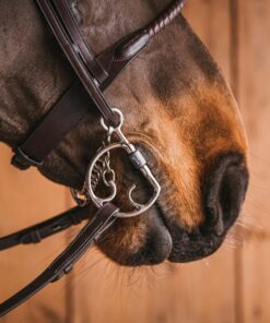 Alternative view of Fager Sally Titan Kimblehook